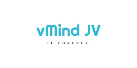 vMind Joint Venture LLC 